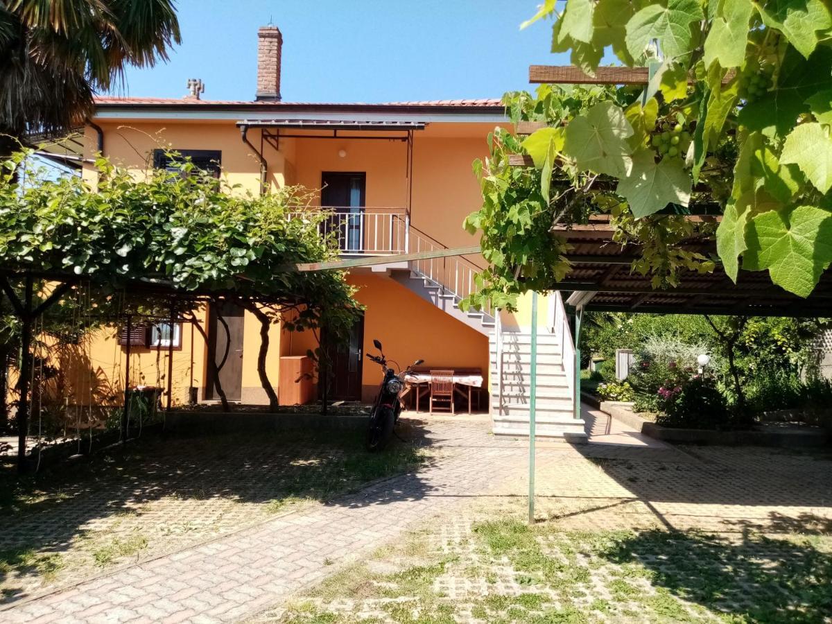 Apartman Violeta لوفغان المظهر الخارجي الصورة
